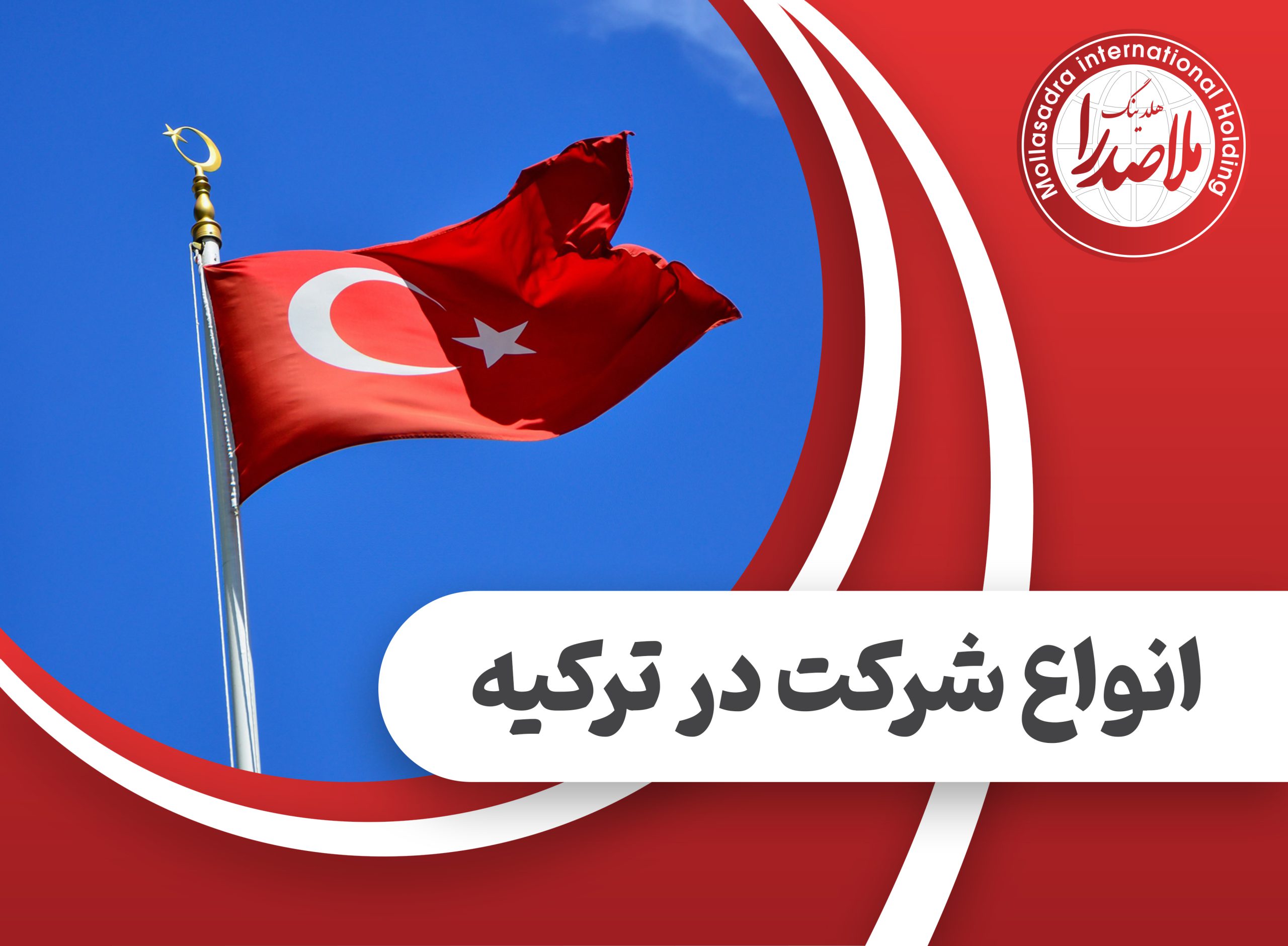 انواع شرکت در ترکیه