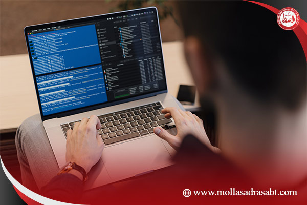 رتبه بندی انفورماتیک در چند شاخه هست؟